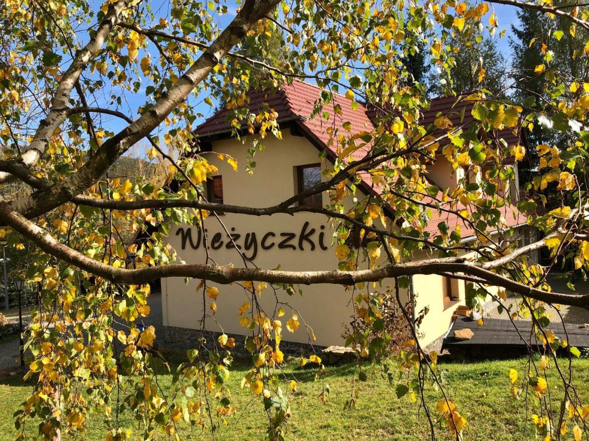 Willa Wiezyczki Swieradow-Zdroj Exterior photo